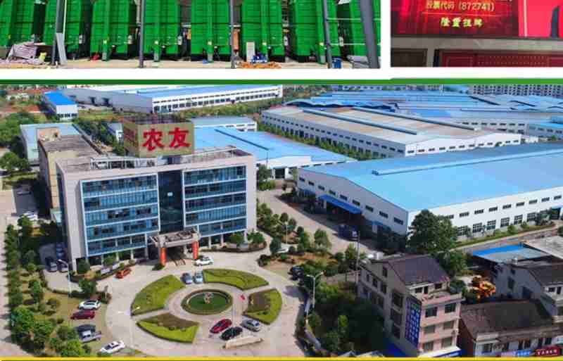 荷兰丹华文化教育中心张璠老师绘制的教学图。本文配图均由受访者提供